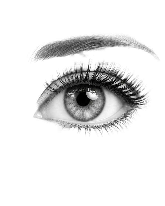 Detailed eye illustration